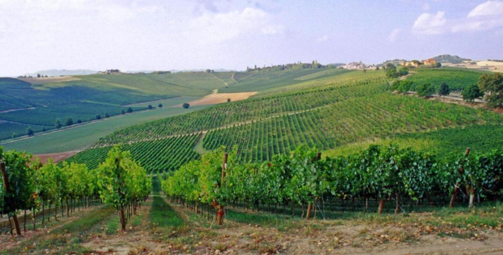 Fattoio Alle Ripe Farm stay Pelago