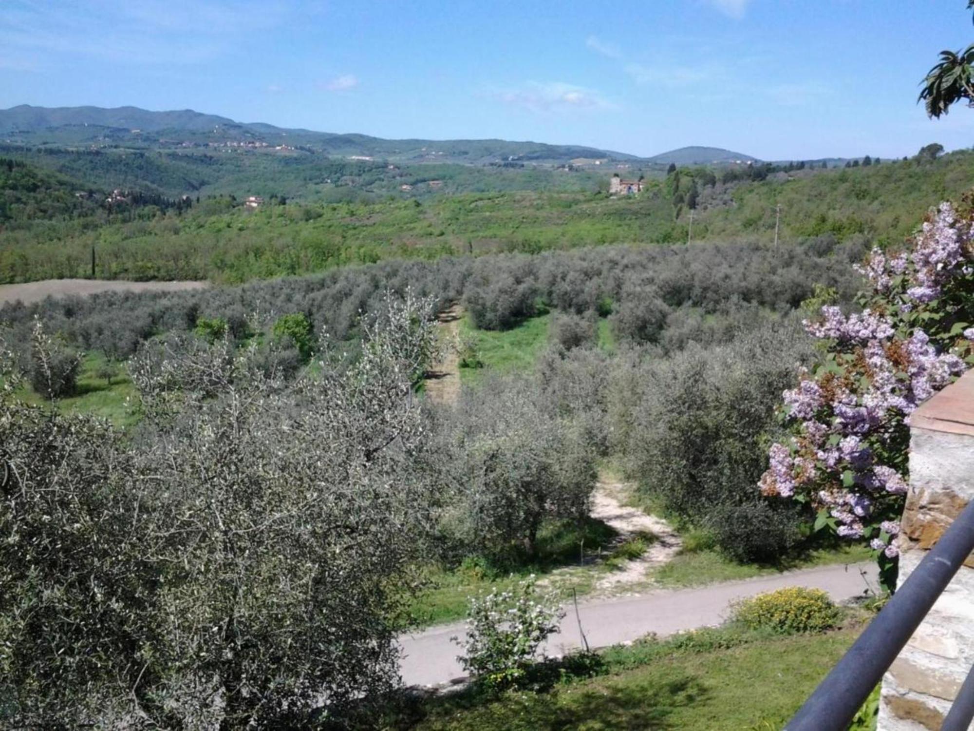 Fattoio Alle Ripe Farm stay *