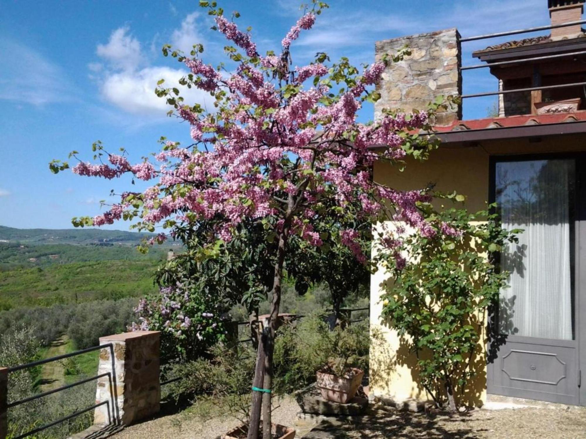 Fattoio Alle Ripe Farm stay Pelago