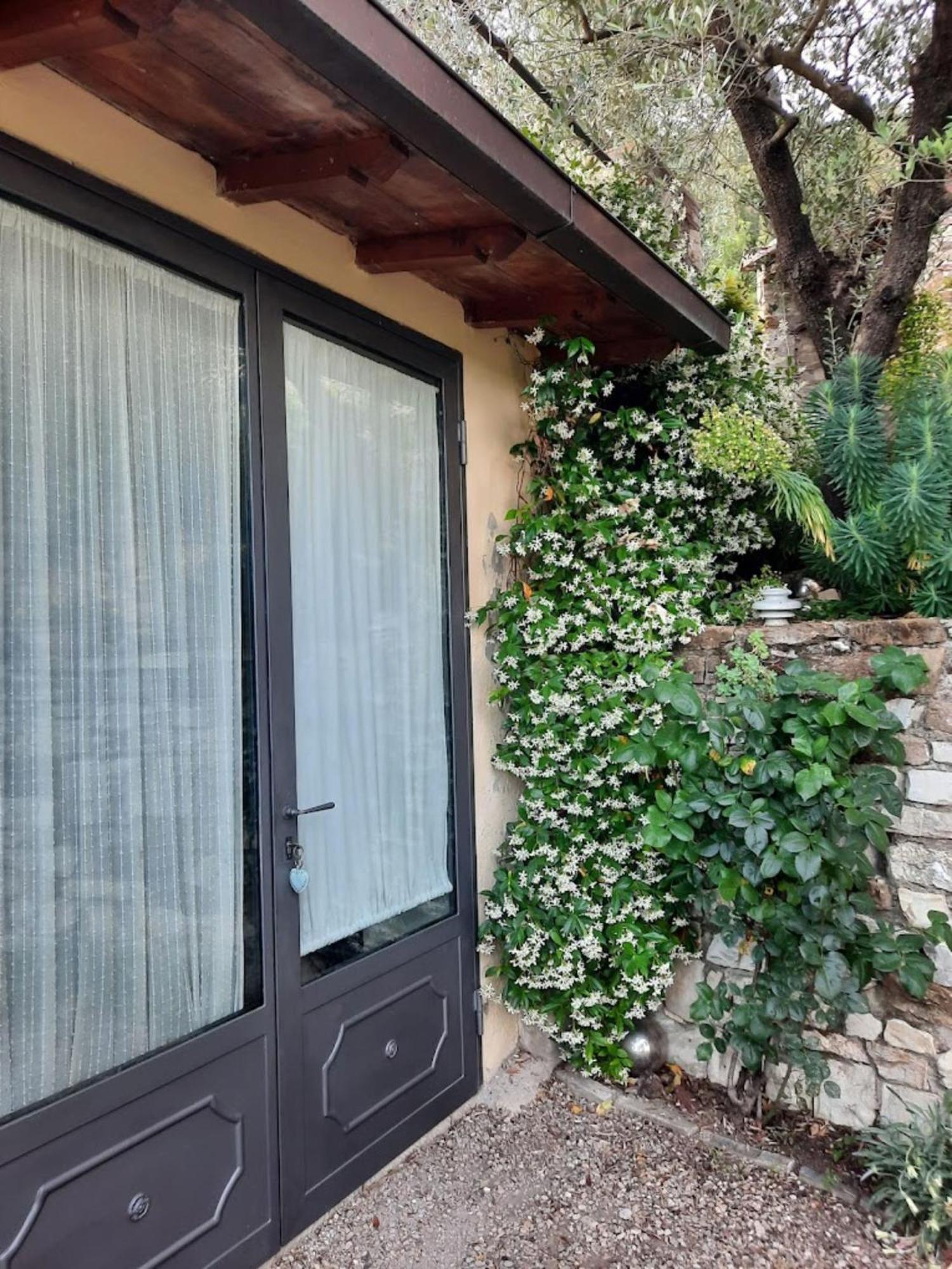Farm stay Fattoio Alle Ripe Pelago